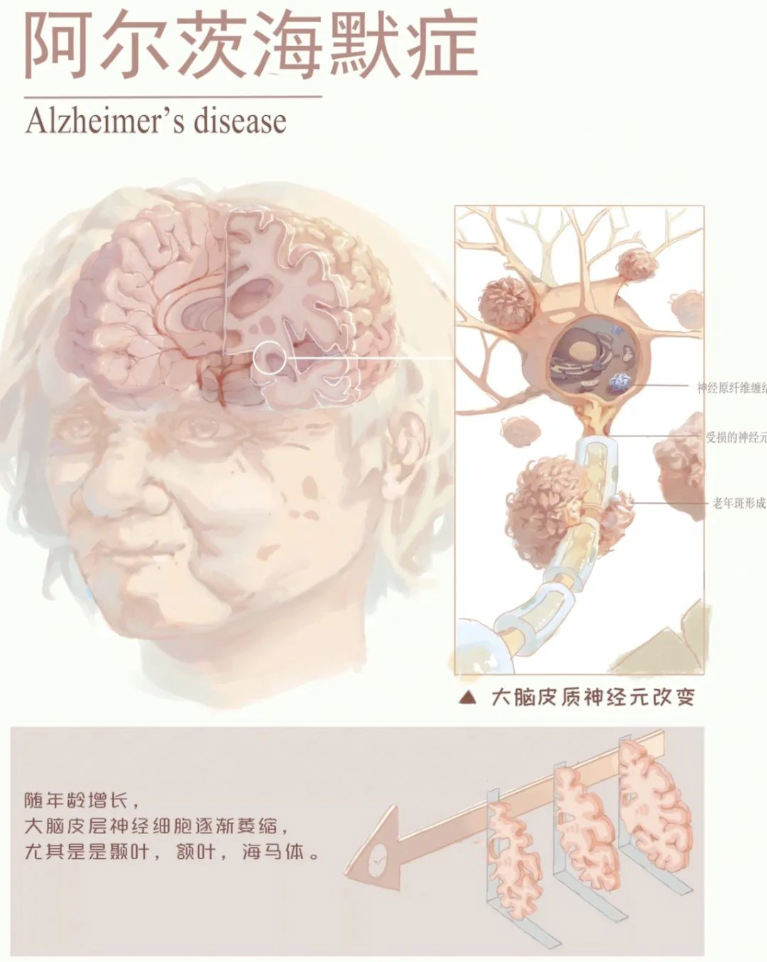 微信圖片_20250331094315.png