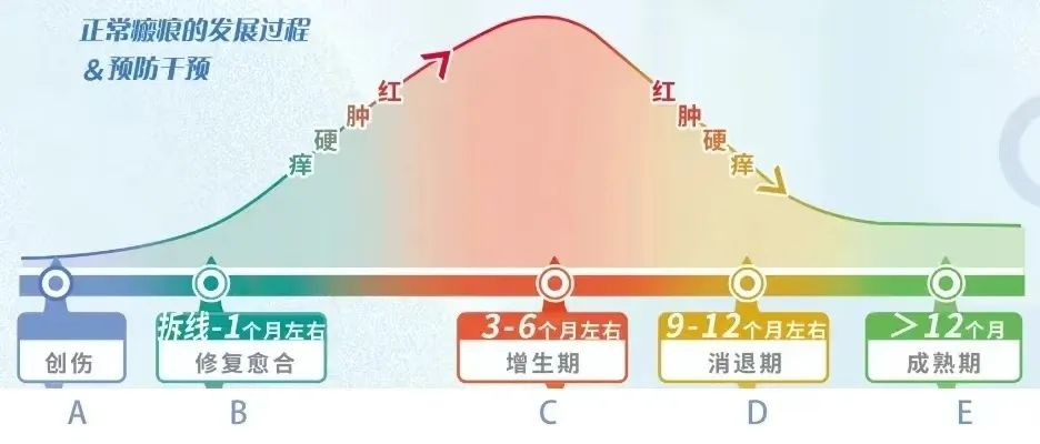 微信圖片_20250314150556.png