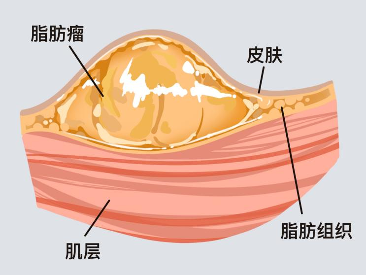 微信圖片_20250513083551.png