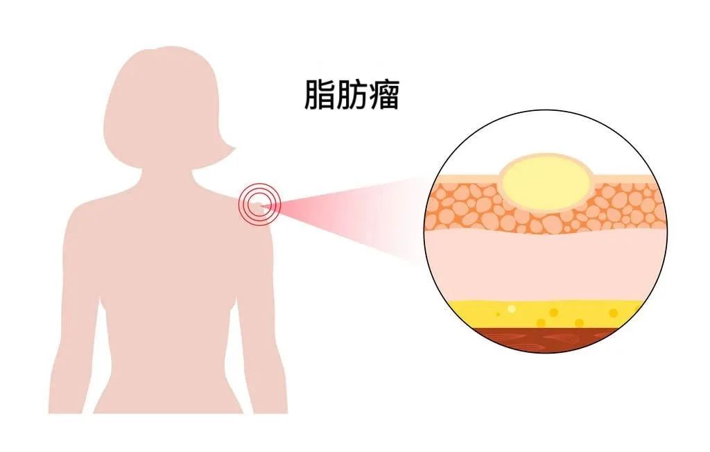 微信圖片_20250513083441.jpg