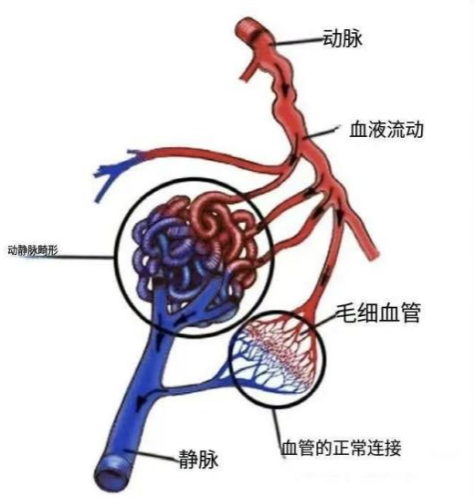 圖片2.png